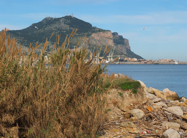 “A PALERMO (NON) C’È IL MARE”